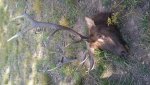 20180910_165659.jpg