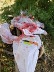 IMG-20180919-WA0011.jpg