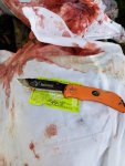 IMG-20180919-WA0014.jpg