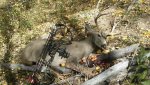 20180920_115155.jpg