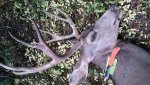 20180920_125456.jpg