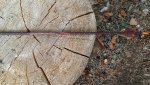 20180919_161447.jpg