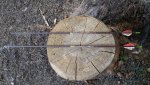 20180920_165929.jpg
