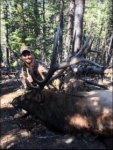 elk2.jpg