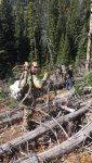 elk4.jpg