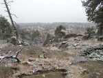 20181008_103603.jpg