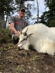 goat 2.jpg