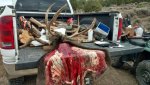 2018 colo buck tailgate.jpg
