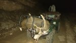 2018 colo buck.jpg
