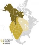 220px-Ursus_arctos_horribilis_map.svg.jpg