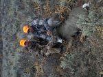 20181006_073313.jpg