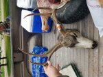 20181006_115515.jpg