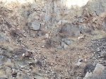 20181103_141033.jpg