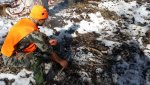 20181114_141909.jpg