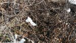 20181114_112103.jpg