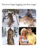cougar.jpg