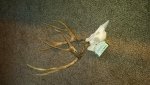 20181126_071019.jpg