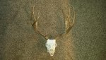 20181126_070850.jpg
