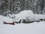 IMG_1104.jpg