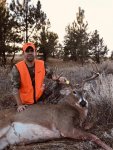 Montana 2018 Deer.jpg
