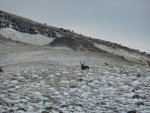 DSCN4487.jpg