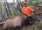 Elk #4 (5).jpg