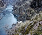 IMG_3556 Mountain goat nearer rivera.jpg