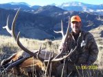 Wy  Bull 2008.jpg