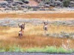 Phone pics 451.jpg