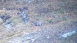 2012-08-27_07-10-32_688.jpg
