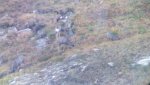 2012-08-27_07-24-41_625.jpg