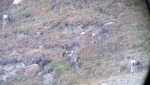 2012-08-27_07-28-17_452.jpg