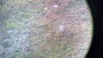 2012-08-27_07-30-18_575.jpg
