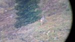 2012-08-27_07-31-56_105.jpg