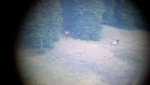 2012-08-24_20-06-29_82.jpg