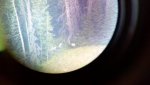2012-08-27_06-39-51_999.jpg