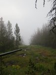 IMG_0013.jpg
