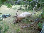 100_0754.jpg