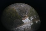 160-170 mulie1.jpg