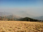 IMG_0440.jpg