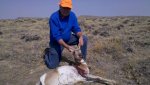 Elbert's Antelope.jpg