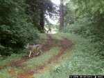 tral cam.jpg