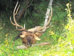 IMG_0841.jpg