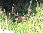 IMG_0842.jpg