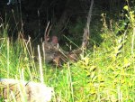 IMG_0844.jpg