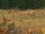 DSCN0520.jpg