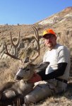 2012 Deer.jpg
