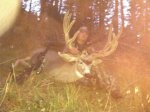 EML-Buck12-1.jpg