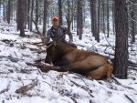 elk 2012 001.jpg