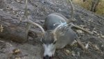 Nicks 2012 D-14 Buck.jpg